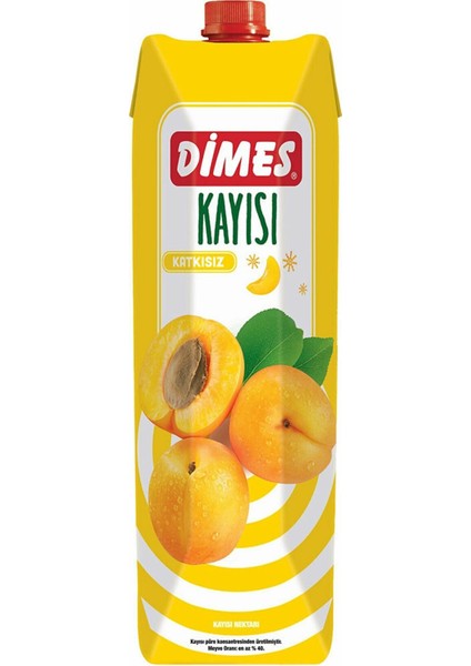 Meyve Suyu 1lt Kayısı x 12