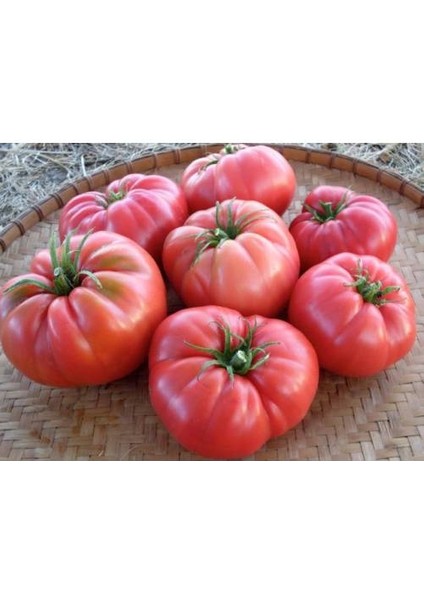 Tarla Domates 2 kg