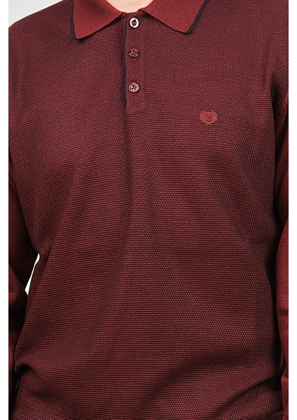 Erkek Polo Yaka Yün Kazak 1578418 Kırmızı modelleri