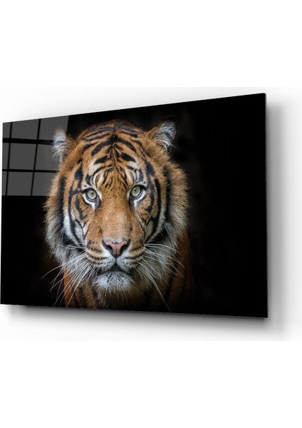 Dekorcumshop Aslan Cam Tablo 4mm Dayanıklı Temperli Cam