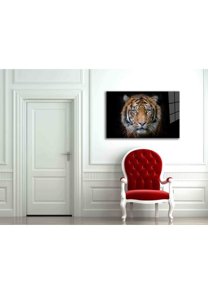 Dekorcumshop Aslan Cam Tablo 4mm Dayanıklı Temperli Cam