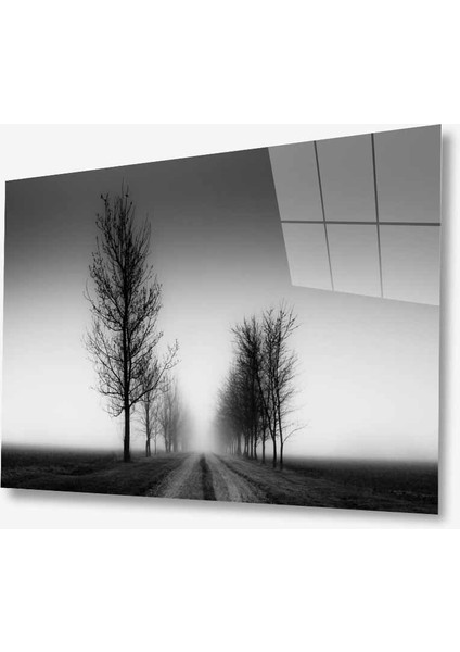 Dekorcumshop Ağaçlar Manzara Cam Tablo 4mm Dayanıklı Temperli Cam