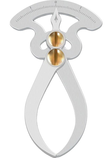 Paslanmaz Çelik Ölçer Hassas Kaliper Ölçer Araçları Inç Ölçeği (Yurt Dışından)