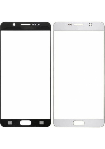 Samsung Galaxy N920 Note 5 Uyumlu Dokunmatik Lens (Gümüş) VR-2635