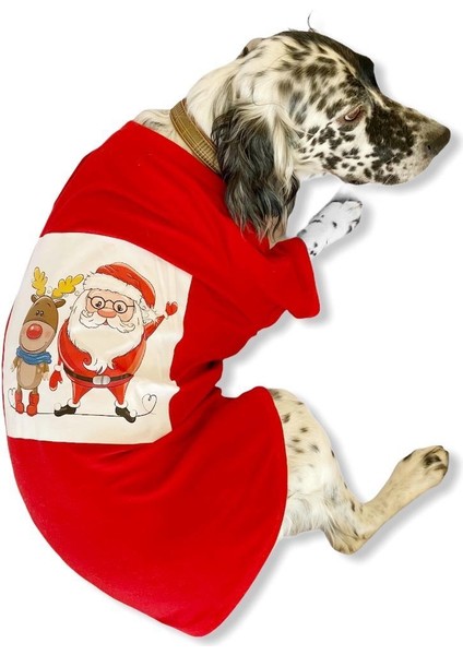 Noel Baba ve Rudolph Büyük Irk Köpek Tişörtü fırsatları