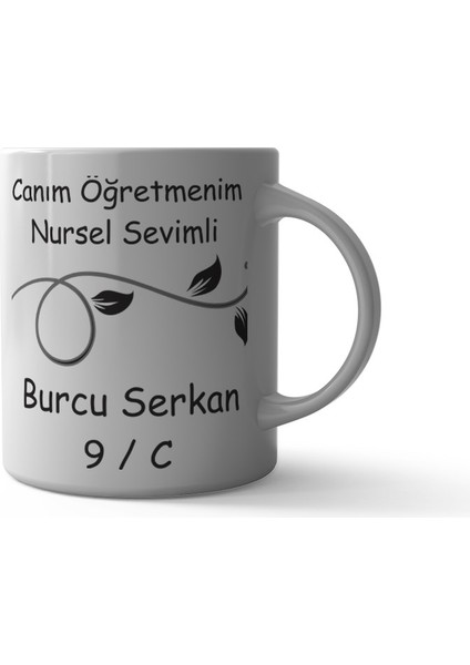 Canım Öğretmenim Kupa Bardak