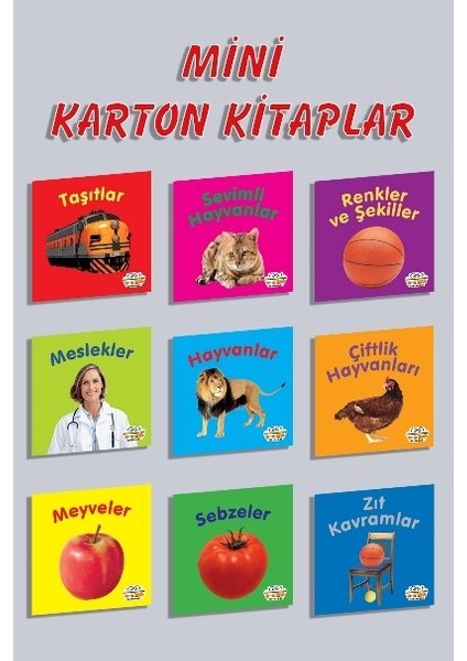 Mini Eğitici ve Öğretici 9 Çeşit Karton Kitaplar