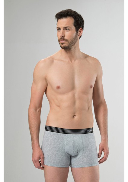 1318 Gri Erkek 2'li Boxer