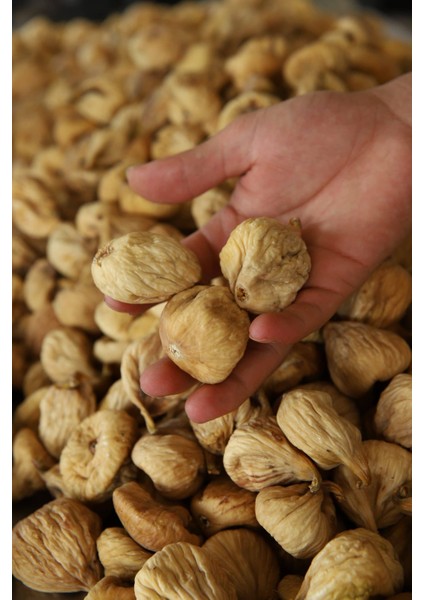 Aydın Kuru İncir 2 kg modelleri