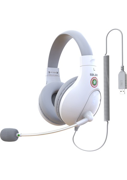 Kulak Üstü Kulaklık (Yurt Dışından) fiyatları