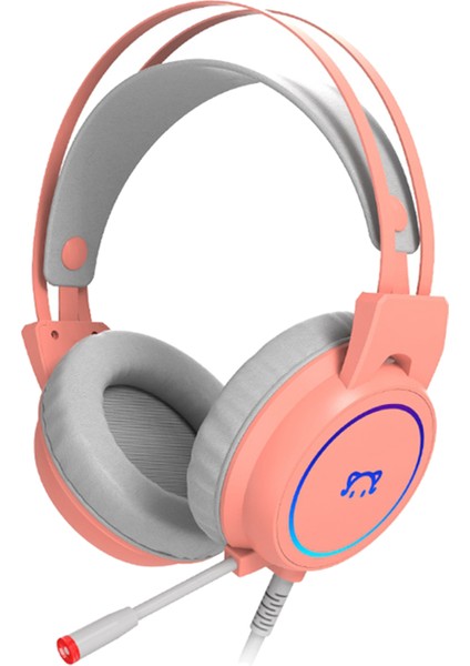 Kulak Üstü Kulaklık (Yurt Dışından)