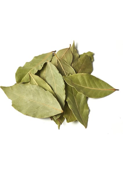 Defne Yaprağı 250 gr