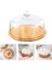 Tatlı Depolama Tepsisi 24 cm (Yurt Dışından) 4