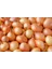 Kuru Soğan 3 kg 1