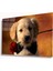 Dekorcumshop Köpek ve Gül Cam Tablo 4mm Dayanıklı Temperli Cam 1