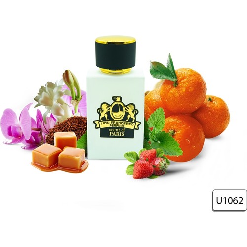 Lion Francesco Perfume Lion Francesco Scent Of Paris Kadın Fiyatı