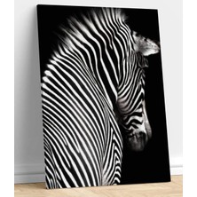 MonoStella Zebra Dekoratif Kanvas Tablo