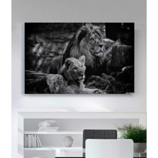 MonoStella Aslan Leopar Kanvas Tablo