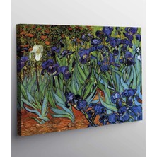 MonoStella Vincent Van Gogh Bahçe Kanvas Tablo