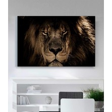 Stella Store Aslan Kanvas Tablo