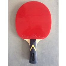 Mastens Pro Ittf Onaylı Raket--Kılıf-Top Set