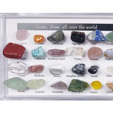 Lovoski 24 Adet Kaya Mineral Koleksiyonu Set (Yurt Dışından)