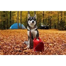 Pet Safe Petsafe Kurgo Kibble Kuru Mama Taşıyıcı Kırmızı K01671