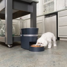 Pet Safe Petsafe Smart Feed Otomatik Mama Kabı