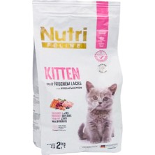 Nutri Feline Kitten Somon Etli Yavru Kedi Maması 2 kg + Kürek