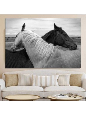 MonoStella Dekoratif Siyah Beyaz At