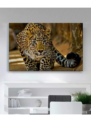 MonoStella Leopar Kanvas Tablo