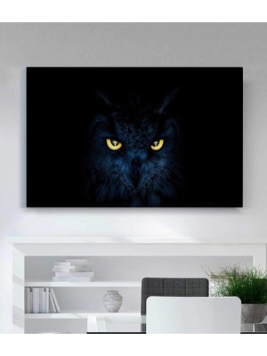 MonoStella Baykuş Bakışı Kanvas Tablo