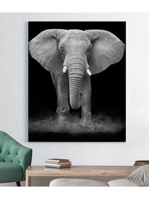 MonoStella Fil Kanvas Tablo