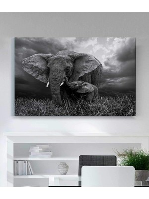 MonoStella Fil Kanvas Tablo