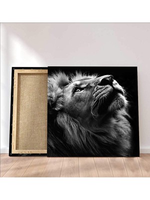 MonoStella Siyah Beyaz Aslan Kanvas Tablo
