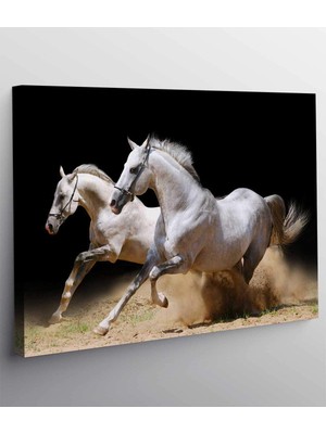 MonoStella Beyaz At Kanvas Tablo