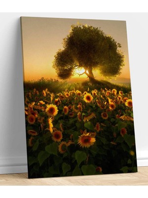 MonoStella Ayçiçeği Kanvas Tablo