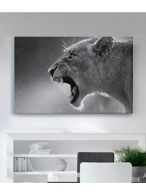 MonoStella Siyah ve Beyaz Aslan Kanvas Tablo
