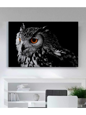 MonoStella Baykuşlu Kanvas Tablo