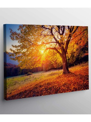 MonoStella Gün Batımı Manzara Kanvas Tablo