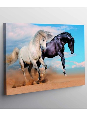 MonoStella Koşan Atlar Kanvas Tablo