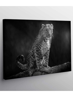 MonoStella Leopard-Kanvas Tablo