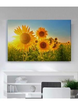 MonoStella Ayçiçeği Kanvas Tablo