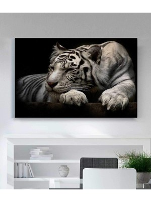 MonoStella Modern Hayvan Kaplan