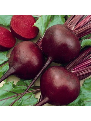 Aktarloji 20 Adet Kırmızı Pancar Tohumu + Sürpriz Hediye Tohum