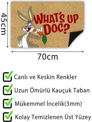 Buket Home Whats Up Kapı Önü Paspası Dekoratif Kapı Paspası Dış Mekân Paspas Ev Içi Paspası 45X70CM