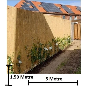 Bambu Kamış Hasır 1,50 Metre x 5 Metre