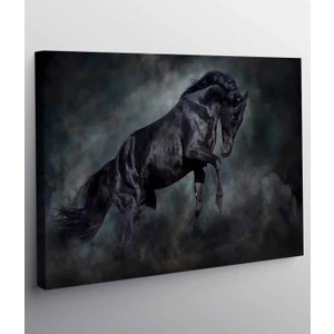 Siyah At Kanvas Tablo