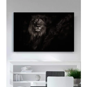 Aslan Kanvas Tablo