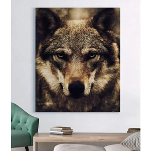 Kurt Hayvan Kanvas Tablo